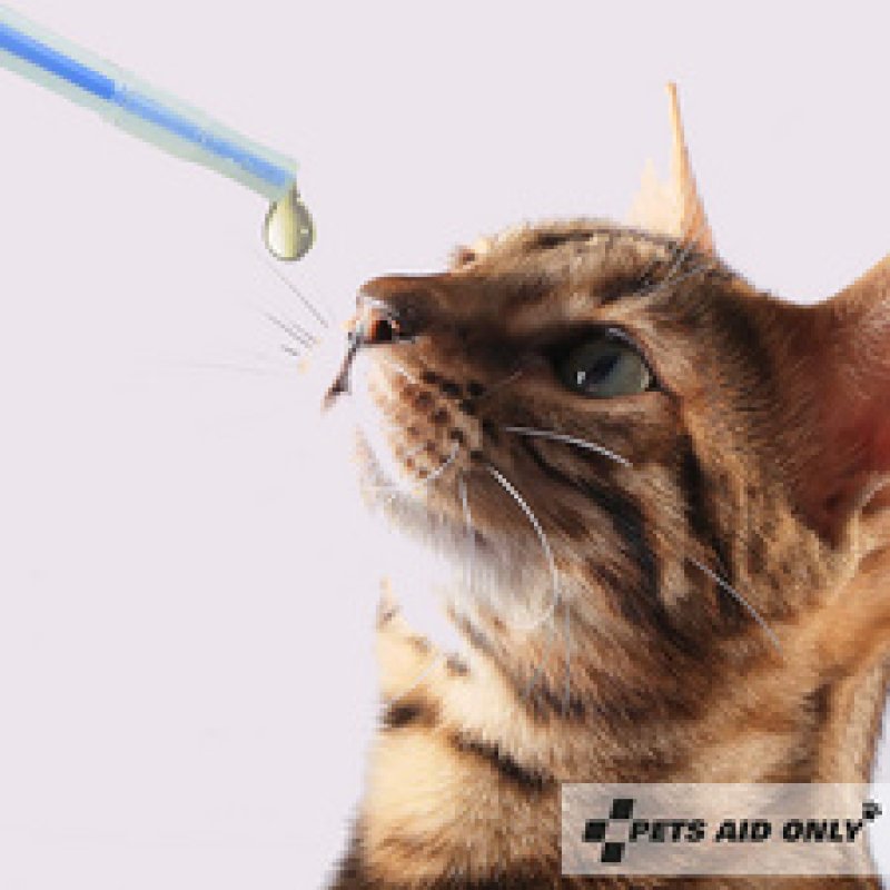 PETS AID ONLY Distributeur de comprimés broyeur à comprimé