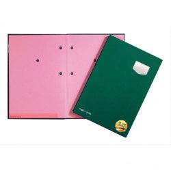 Pagna 24102-03 fichier Carton, Plastique Vert A4