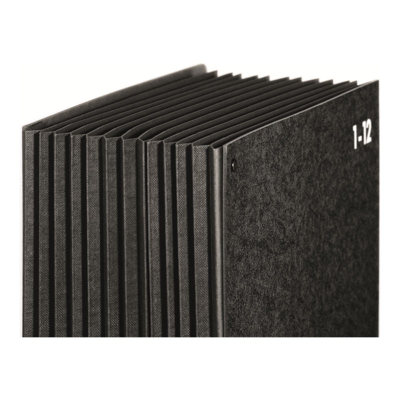 Pagna 24121-04 trieur Noir Panneau dur, Polypropylène (PP) A4