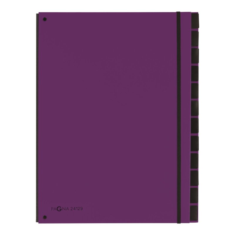 PAGNA Trieur Trend, A4, 12 compartiments, violet