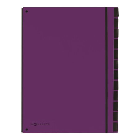 Pagna 24129-12 trieur Violet Carton, Polypropylène (PP) A4