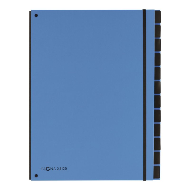 Pagna 24129-13 divider book Blue Cardboard, Polypropylene (PP) A4