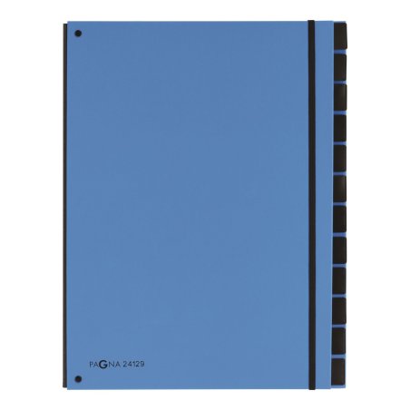 Pagna 24129-13 divider book Blue Cardboard, Polypropylene (PP) A4