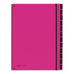 PAGNA Trieur Trend, A4, 12 compartiments, rose foncé