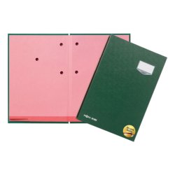 Pagna 24202-03 fichier Carton Vert A4