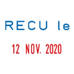 COLOP Tampon dateur Mini Dater S160 L2 "PAYE le"