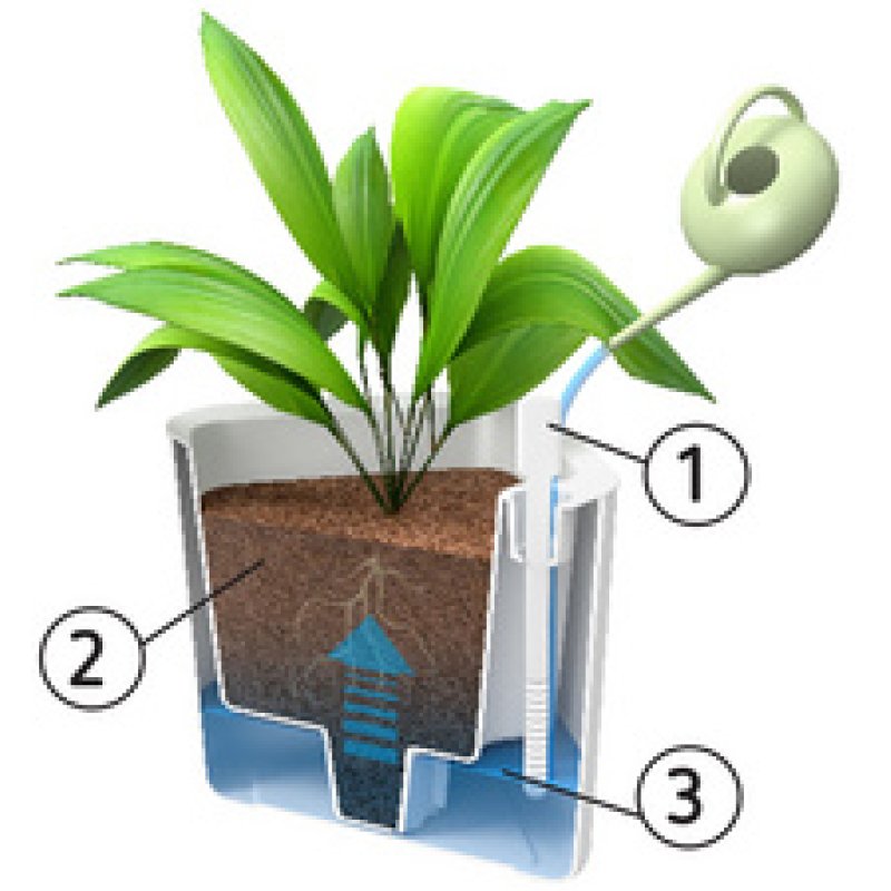 orthex Cache-pot EDEN, largeur : 200 mm, blanc