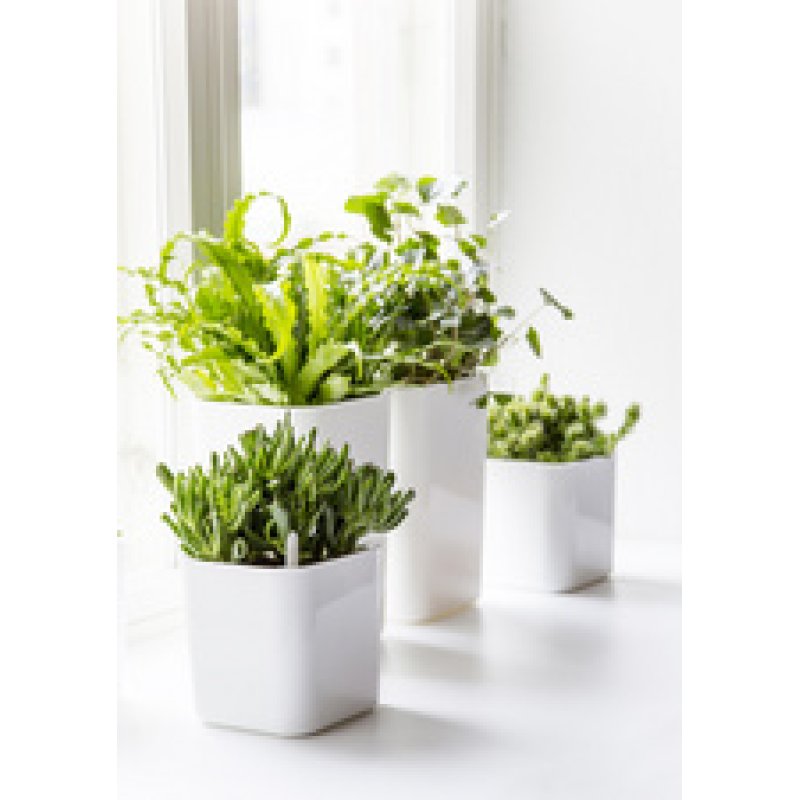 orthex Cache-pot EDEN, largeur : 200 mm, blanc