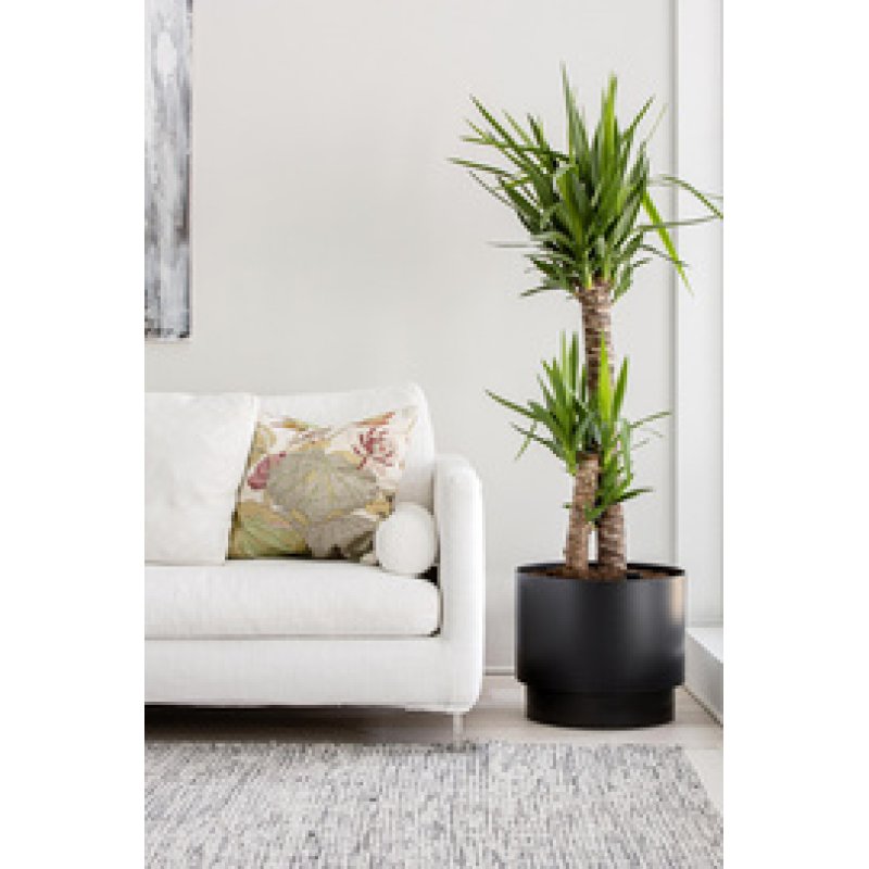 orthex Pot de fleurs PAULINA, diamètre: 300 mm, blanc