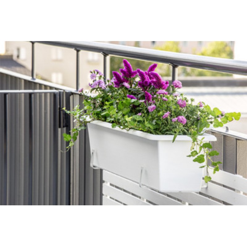 orthex Jardinière BOTANICA, largeur : 600 mm, noir