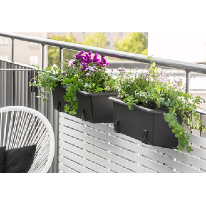 orthex Jardinière BOTANICA, largeur : 600 mm, noir