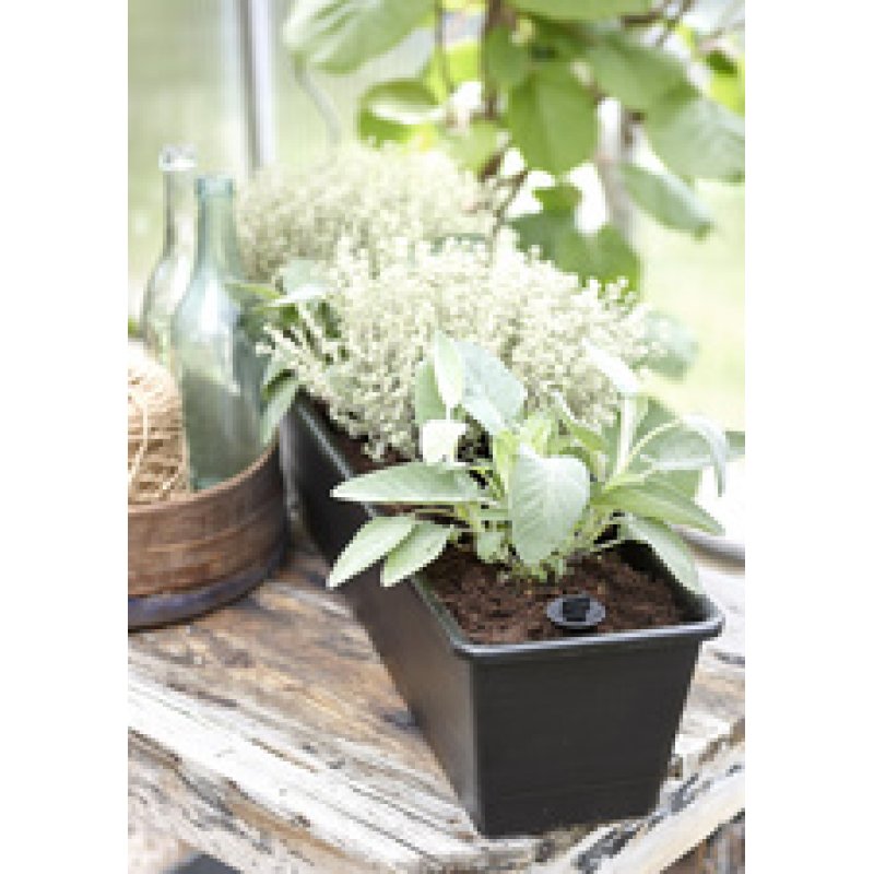 orthex Jardinière BALCONY, largeur : 550 mm, noir