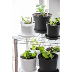 orthex Pot de fleurs CULTIVATE, diamètre: 160 mm, gris