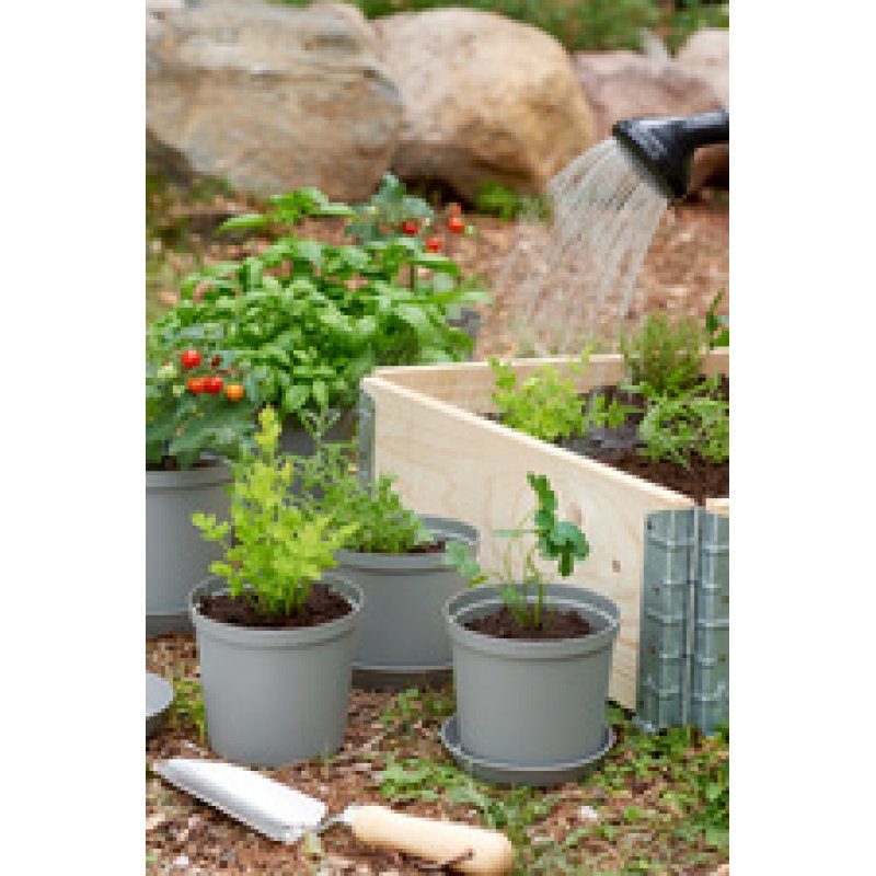 orthex Pot de fleurs CULTIVATE, diamètre: 210 mm, gris