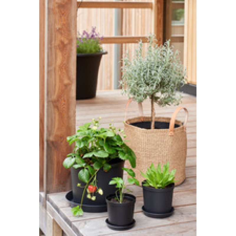 orthex Pot de fleurs CULTIVATE, diamètre: 210 mm, noir