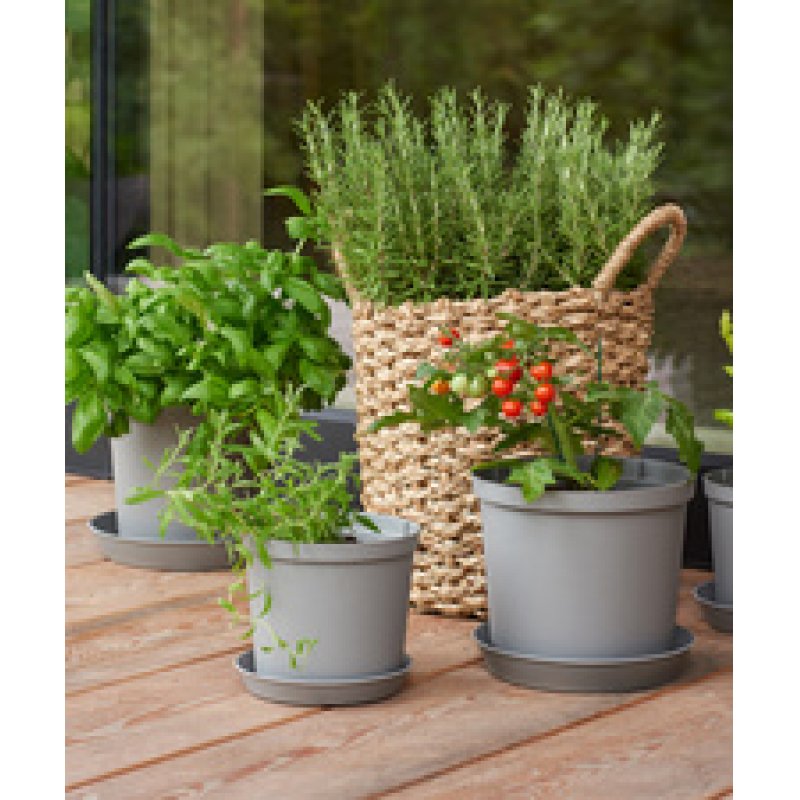 orthex Pot de fleurs CULTIVATE, diamètre: 270 mm, gris