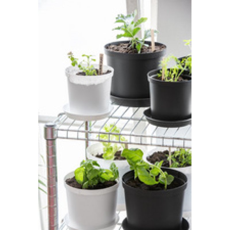 orthex Soucoupe CULTIVATE, diamètre: 160 mm, noir