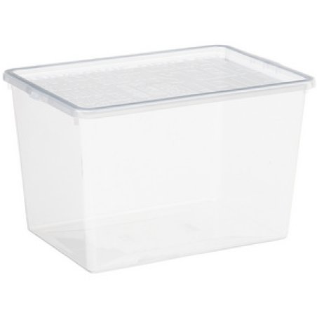 Plast team Boîte à chaussures BASIC BOX, High Heels