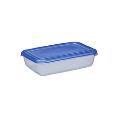 plast team Boîte de congélation Polar, 3,0 litres, bleu