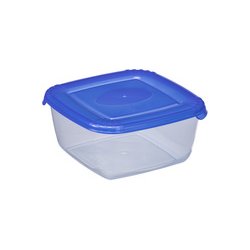 plast team Boîte de congélation Polar, 0,46 litre, gris