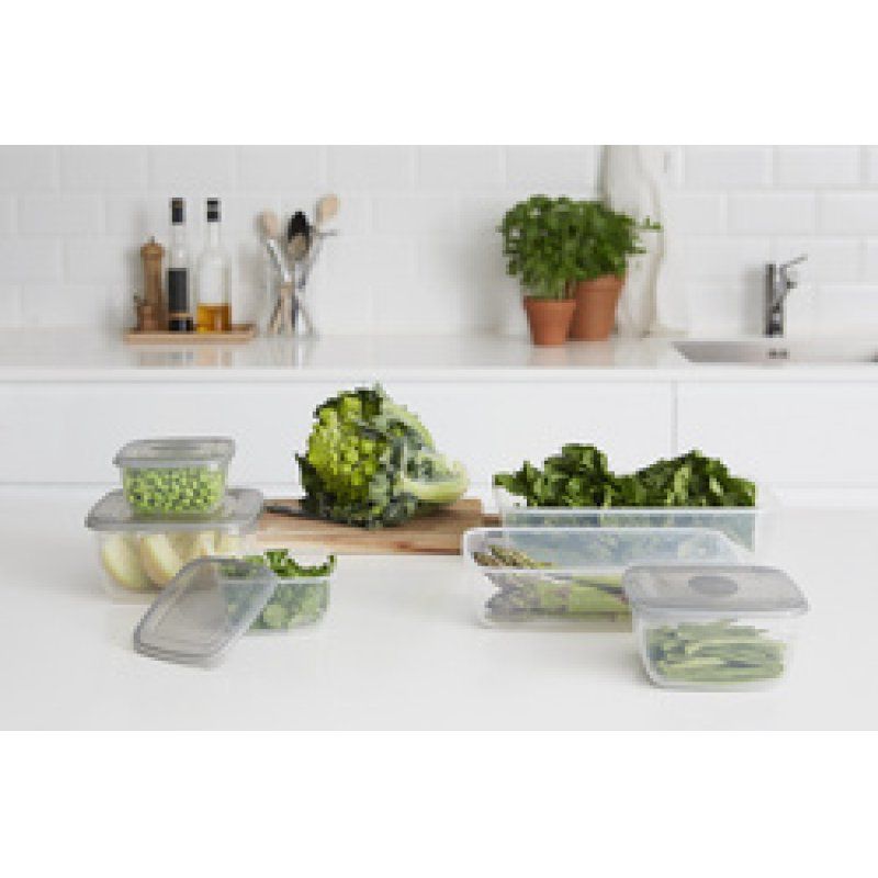 plast team Boîte de congélation Polar, 2,5 litres, gris