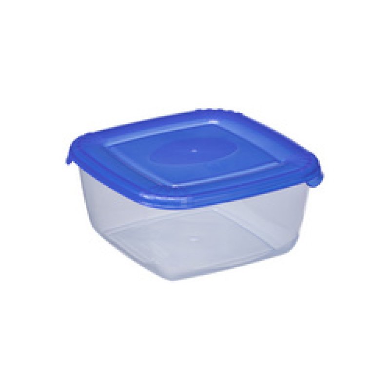 plast team Boîte de congélation Polar, 2,5 litres, bleu