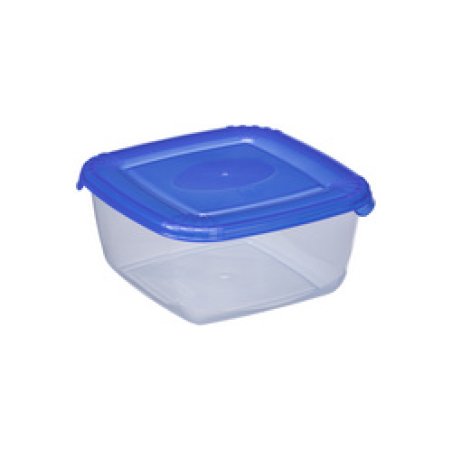 plast team Boîte de congélation Polar, 2,5 litres, bleu