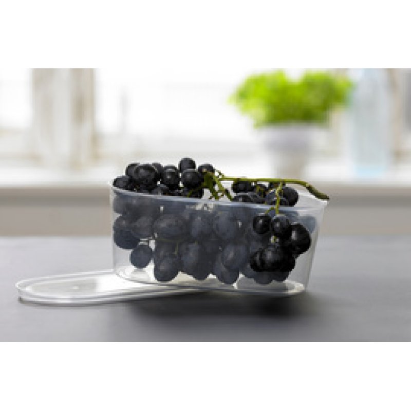 Plast team Boîte de congélation Helsinki, 0,4 litre, ovale