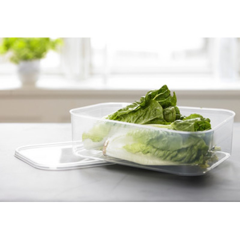 Plast team Boîte de congélation Helsinki, 0,7 litre