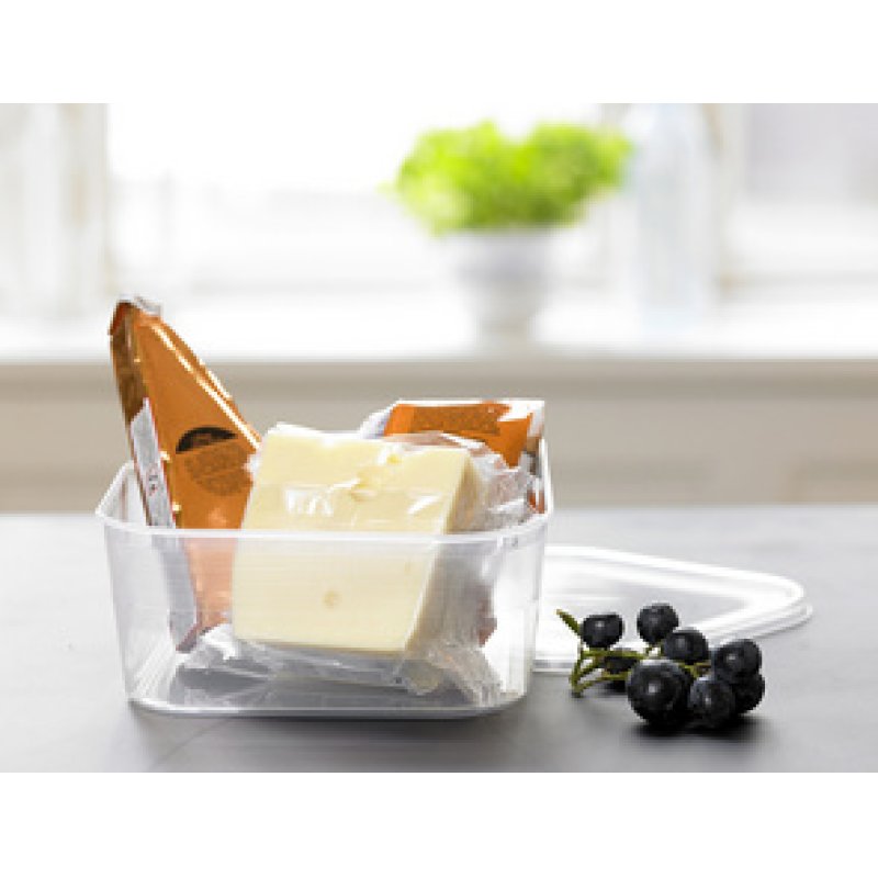 Plast team Boîte de congélation Helsinki, 1,8 litre, carré