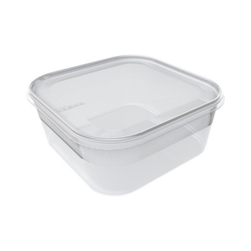 Plast team Boîte de congélation Helsinki, 4,6 litres, carré