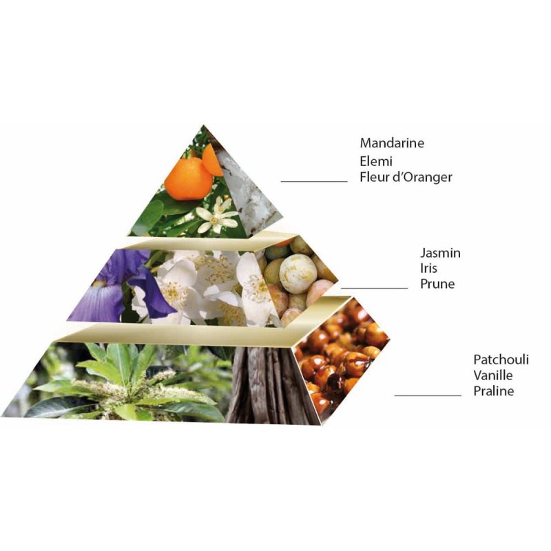 Pascal Morabito Perle Royale for Women Eau de Parfum Spray 100ml