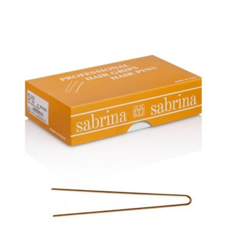 Invisible Hairpins SABRINA 500g LACA.002