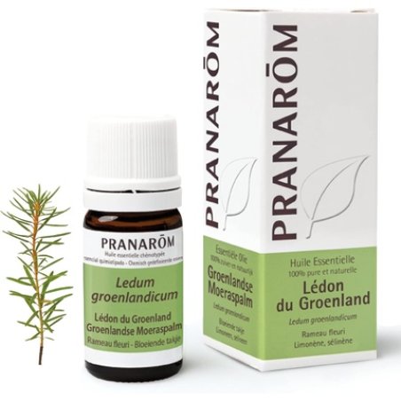 PRANAROM Essential Oil Lédon du Groenland 5ml