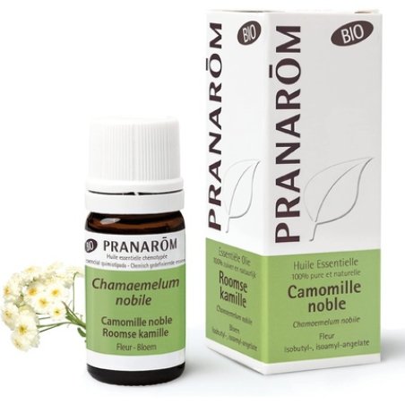 Pranarôm Bio Noble Chamomile Essential Oil 5ml