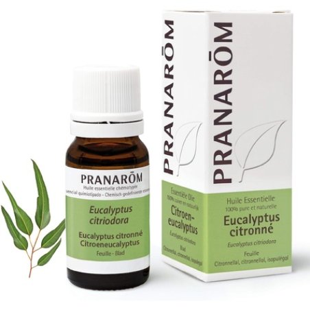Pranarôm Lemon Eucalyptus Essential Oil 10ml