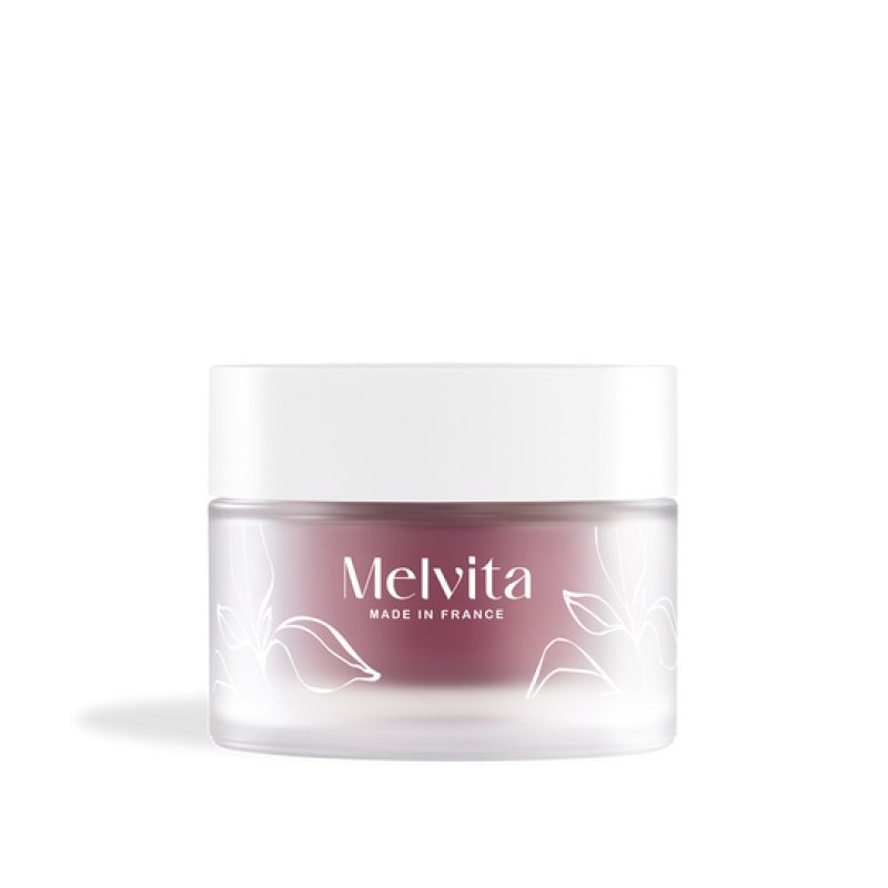 Melvita Argan Bio Active Day cream Face