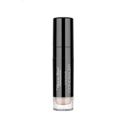 Pierre Rene Contour Concealer 04