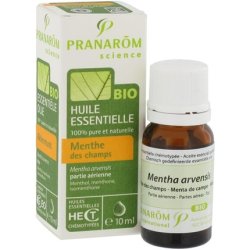 Pranarôm Bio Essential Oil Field Mint 10ml