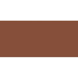 L'Oreal Paris Lip Plumping Gloss Nourishing and Hydrating with Cooling Sensation