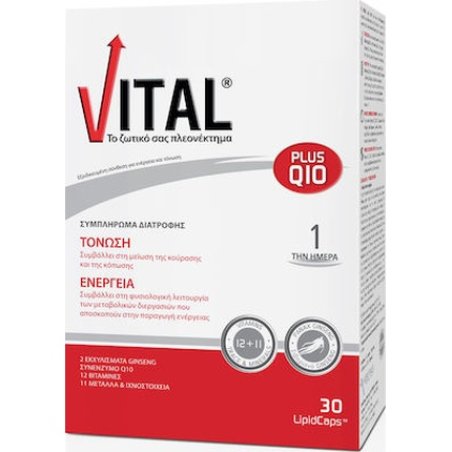 Vital Plus Q10 Dietary Supplement For Stimulation - Energy With Coenzyme Q10 30 Capsules