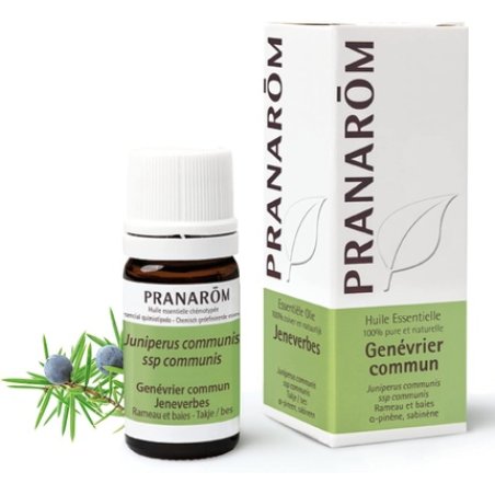 Pranarôm Common Juniper Essential Oil 5ml
