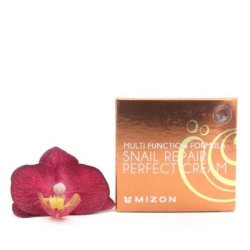 Mizon Snail Repair Perfect Cream 50ml