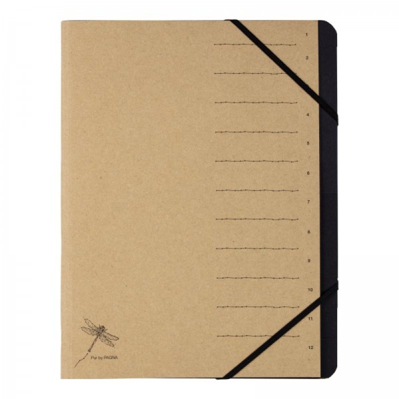 Pagna 40061-11 tab index Conventional file folder Cardboard Brown
