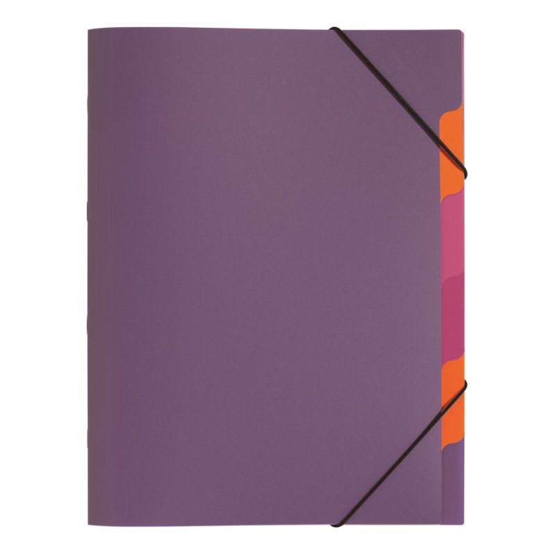 Pagna 41803-12 divider book Purple Polypropylene (PP) A4