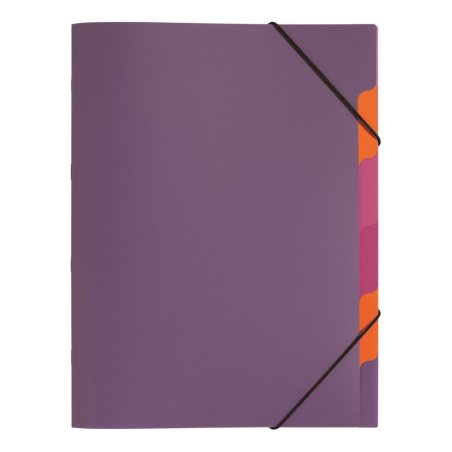 Pagna 41803-12 divider book Purple Polypropylene (PP) A4