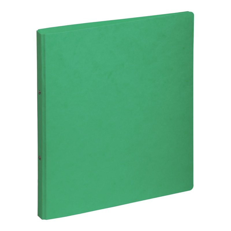 Pagna 44096-03 ring binder A4 Green