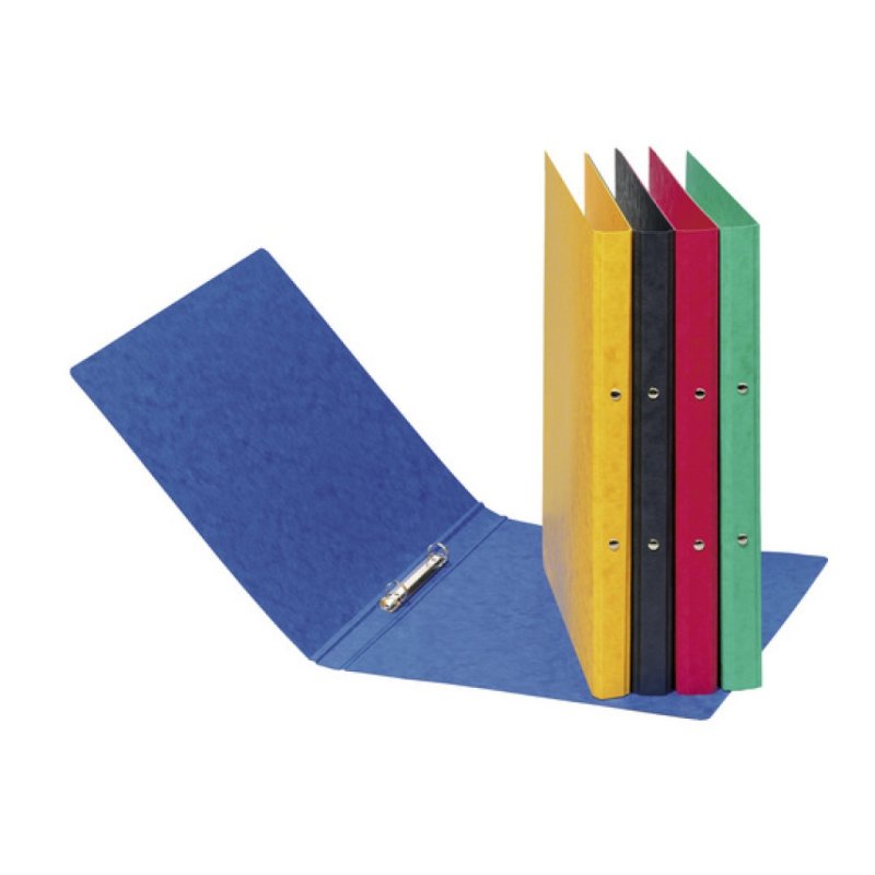 Pagna 44096-03 ring binder A4 Green