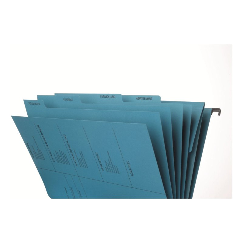 Pagna 44105-02 hanging folder A4 Cardboard Blue 10 pc(s)