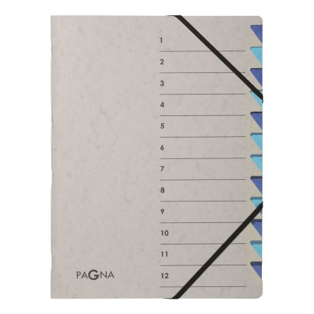 PAGNA Trieur "Easy Grey", A4, 12 compartiments, gris / bleu